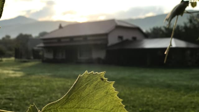 Шоста зміна 2024