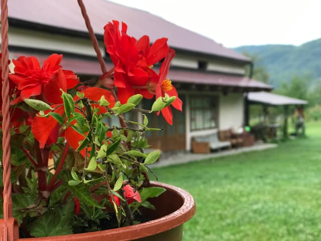 П'ята зміна 2024