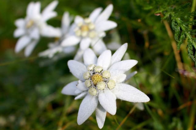 До уваги батьків!
